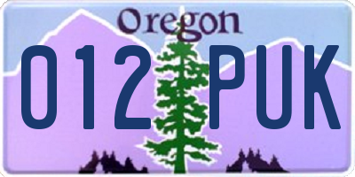 OR license plate 012PUK