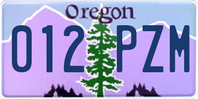 OR license plate 012PZM