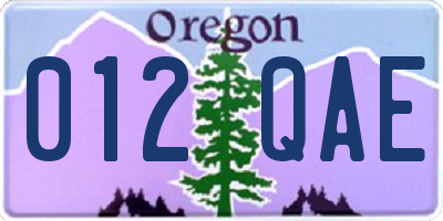 OR license plate 012QAE
