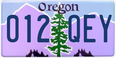 OR license plate 012QEY