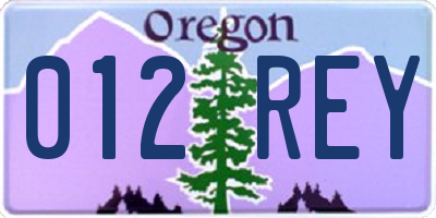 OR license plate 012REY