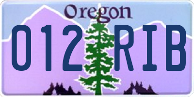 OR license plate 012RIB