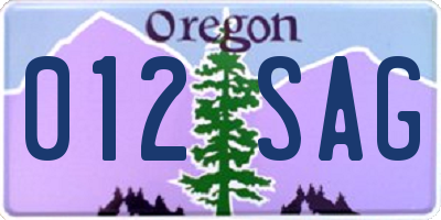 OR license plate 012SAG