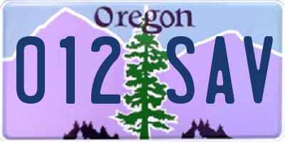 OR license plate 012SAV