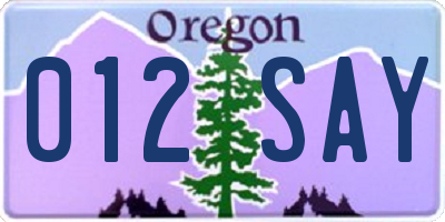 OR license plate 012SAY