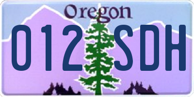 OR license plate 012SDH
