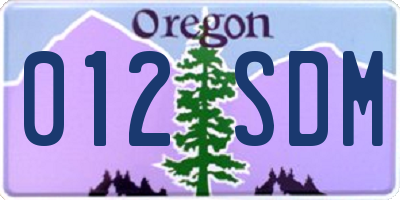 OR license plate 012SDM