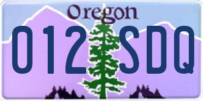 OR license plate 012SDQ