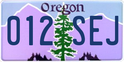 OR license plate 012SEJ