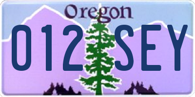 OR license plate 012SEY