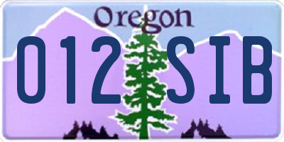 OR license plate 012SIB