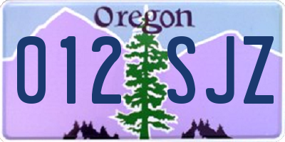 OR license plate 012SJZ