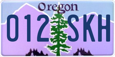 OR license plate 012SKH