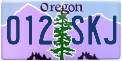 OR license plate 012SKJ