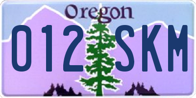 OR license plate 012SKM