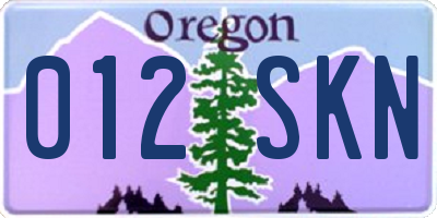 OR license plate 012SKN