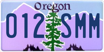 OR license plate 012SMM