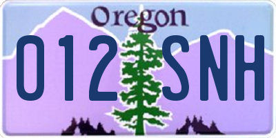 OR license plate 012SNH