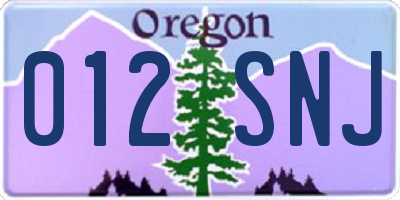 OR license plate 012SNJ