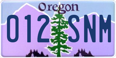 OR license plate 012SNM