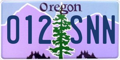 OR license plate 012SNN