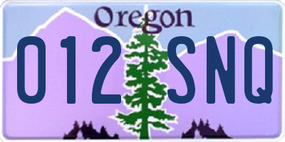 OR license plate 012SNQ