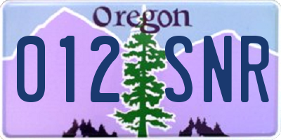 OR license plate 012SNR