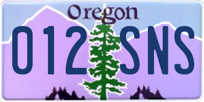 OR license plate 012SNS