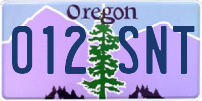 OR license plate 012SNT