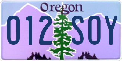 OR license plate 012SOY
