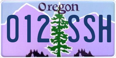 OR license plate 012SSH