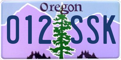OR license plate 012SSK