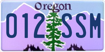 OR license plate 012SSM