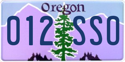 OR license plate 012SSO