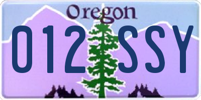 OR license plate 012SSY