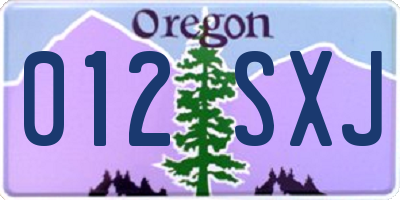 OR license plate 012SXJ