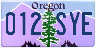 OR license plate 012SYE