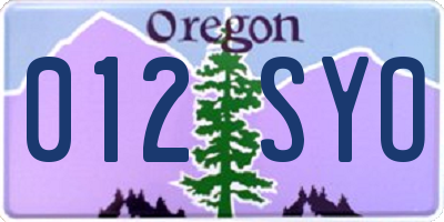 OR license plate 012SYO