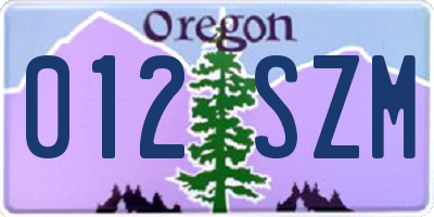 OR license plate 012SZM