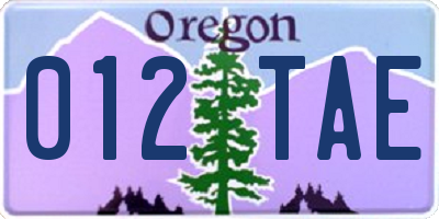 OR license plate 012TAE