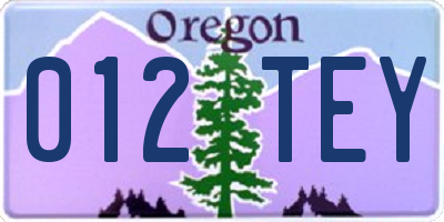 OR license plate 012TEY