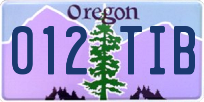 OR license plate 012TIB