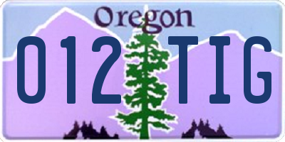 OR license plate 012TIG