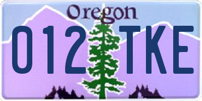 OR license plate 012TKE