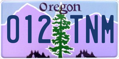 OR license plate 012TNM