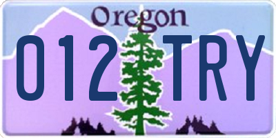 OR license plate 012TRY