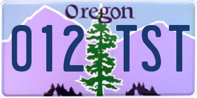 OR license plate 012TST