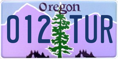 OR license plate 012TUR