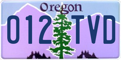 OR license plate 012TVD