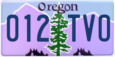 OR license plate 012TVO